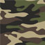 Camouflage